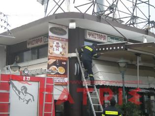 Φωτογραφία για Επιχείρηση διάσωσης... γάτας στήθηκε στην Αμαλιάδα!