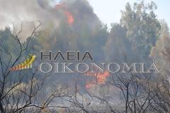 Ηλεία: Οργισμένη ανακοίνωση απο συγγενείς των θυμάτων των φονικών πυρκαγιών του 2007