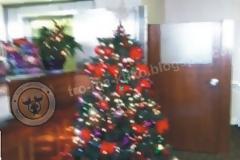 Οι αναγνώστες του tromaktiko στέλνουν το Χριστουγεννιάτικα στολισμένο σπίτι τους...