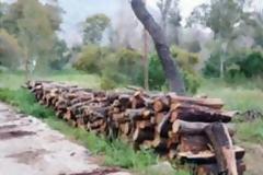 Πλαφόν στα καυσόξυλα θέλει το ΥΠΕΚΑ