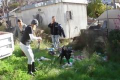 5.000 ευρώ πρόστιμο και ποινή φυλάκισης για τα σκυλιά που ήταν δεμένα στα σκουπίδια
