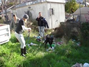 Φωτογραφία για 5.000 ευρώ πρόστιμο και ποινή φυλάκισης για τα σκυλιά που ήταν δεμένα στα σκουπίδια