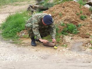 Φωτογραφία για Ρουκέτες σε λιοστάσι στο Θέρμο Τριχωνίδας