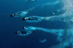 Η ζωή στον κόσμο το 2012 μέσα από το φακό του National Geographic