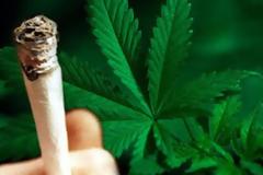 Λευκωσία: Μέλη της τροχαίας εντόπισαν στην κατοχή οδηγού 88 γρ. κάνναβης