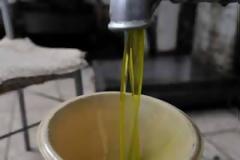 Έκλεψαν 300 κιλά λάδι