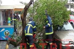 Πύργος: Δέντρο καταπλάκωσε παρκαρισμένο αυτοκίνητο