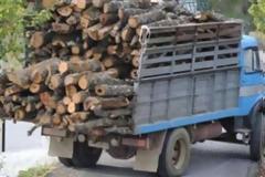 Τους έπιασε να κλέβουν κούτσουρα και τον ξυλοκόπησαν