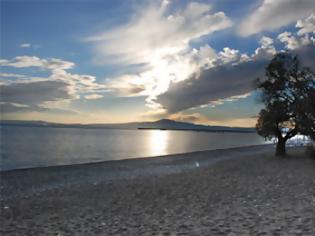 Φωτογραφία για Χριστούγεννα με μπάνιο στην παραλία Καλαμάτας