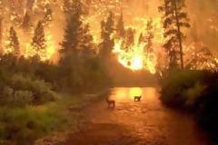 Δυνατότητα αναστολής στην καταβολή των δόσεων των δανείων για εταιρείες που επλήγησαν από τις πυρκαγιές του 2007