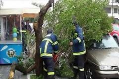 ΒΟΛΟΣ: Βρήκαν τα αυτοκίνητά τους... πλακωμένα από δέντρα!
