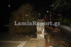 Φθιώτιδα: Ακόμη και δέντρα ξερίζωσε ο δυνατός αέρας στη Γλύφα