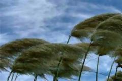 Όσα παίρνει ο άνεμος: ομπρέλες και ντροπή!