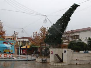 Φωτογραφία για Δεν άντεξε το Χριστουγεννιάτικο Δέντρο Αλμυρού