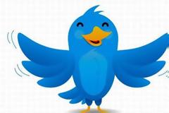 Ξερετε ποιο ειναι το ονομα του πουλιου στο twitter;