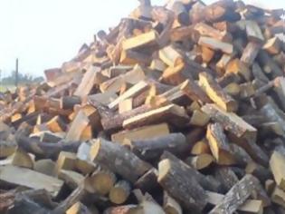 Φωτογραφία για Μετέφερε τέσσερις τόνους παράνομη ξυλεία