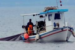 Θετικό βήμα προς μία βιώσιμη αλιεία στην Ευρώπη