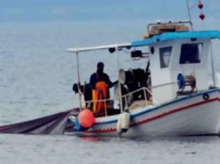 Φωτογραφία για Θετικό βήμα προς μία βιώσιμη αλιεία στην Ευρώπη