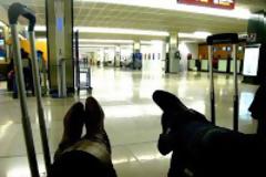 Αν και είχε δικό του μαγαζί και 5.000 μηνιαίο εισόδημα, έμεινε στον άσσο!