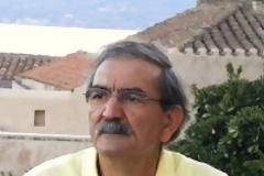 Ο καθηγητής Ηλίας Σταμπολιάδης, για το κείμενο του Γιανναρά