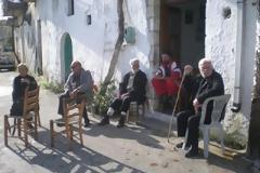 Μια περήφανη ράτσα με αρχοντιά στην Αρχοντική