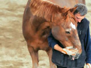 Φωτογραφία για Τα άλογα είναι η θεραπεία για τους ομοφυλόφιλους