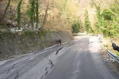Στην κυκλοφορία ο δρόμος Βόλου- Ζαγοράς