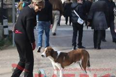 Ο (σκύλος) Ερμής και ο Δίας ... της Αρχαίας Ολυμπίας
