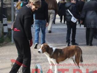 Φωτογραφία για Ο (σκύλος) Ερμής και ο Δίας ... της Αρχαίας Ολυμπίας