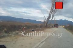 Σοκ: Επιδρομή για καυσόξυλα στο δρόμο Ευλάλου-Θαλασσιάς. Δεν υπάρχουν πια λεύκες !