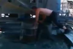 Βουτιά θανάτου! [Video]