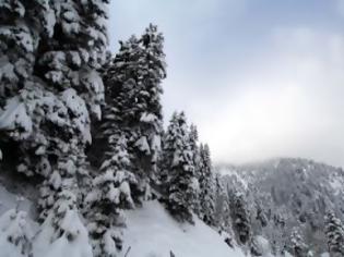 Φωτογραφία για Κλειστά σχολεία στα ορεινά της Ξάνθης λόγω της χιονόπτωσης