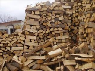 Φωτογραφία για ΥΠΕΚΑ: Στους 13 χιλ. τόνους η λαθραία ξυλεία το 2012