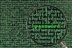 Φυλάκιση για Ρώσο hacker και... τον γιο του