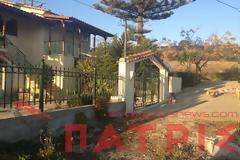 Ηλεία: Χύθηκε αδελφικό αίμα στο Γιαννιτσοχώρι για μια ελιά! - Ολο το χρονικό
