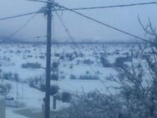 Φωτογραφία για Στο έλεος του χιονιά το Οροπέδιο Λασιθίου - Δεν λειτουργεί το δίκτυο ύδρευσης