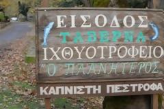 Οι ... MASTERCHEF του MEGA αποψε στα Καλάβρυτα!