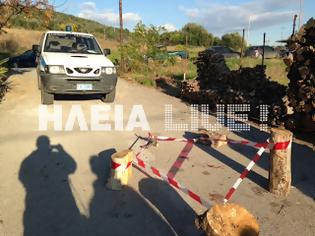 Φωτογραφία για Ηλεία: Η επίσημη ανακοίνωση της Αστυνομίας για το έγκλημα στο Γιαννιτσοχώρι