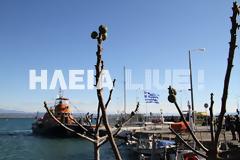 Κατάκολο: Το θαύμα της φύσης - Συκιά η θαλασσινή και καρποφόρα το χειμώνα!