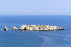 2529 - Μια κάρα στον Καυσοκαλυβίτικο θαλασσοαφρό