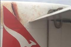 Απίστευτο! Το φτερό του αεροσκάφους είχε επάνω έναν... πύθωνα