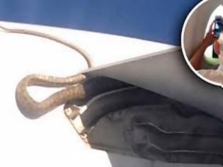 Φωτογραφία για Απίστευτο περιστατικό εν πτήσει! Πύθωνας ταξίδευε στο φτερό αεροσκάφους της Qantas [video]