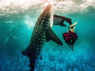 Φωτογραφία για Μοντέλα & καρχαρίες σε υποβρύχια επίδειξη μόδας!