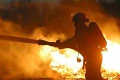 Στάχτη έγιναν χαρτονομίσματα 15.000 ευρώ από πυρκαγιά σε κοντέινερ στα Τρίκαλα