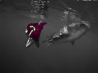 Φωτογραφία για Μοντέλα ποζάρουν δίπλα σε φάλαινες – καρχαρίες