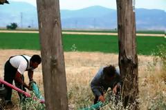 Αγρότες άποροι στην Ελλάδα, κροίσοι στο εξωτερικό!