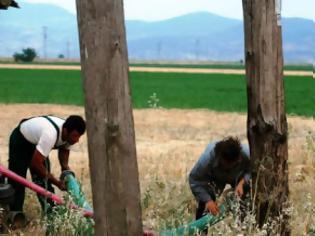 Φωτογραφία για Αγρότες άποροι στην Ελλάδα, κροίσοι στο εξωτερικό!