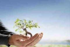 Θα κάνουν δενδροφύτευση στο πρώην Στρατόπεδο Καρατάσιου
