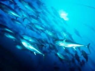 Φωτογραφία για Η μεταρρύθμιση της Κοινής Αλιευτικής Πολιτικής της ΕΕ