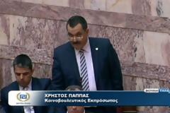 Και «παχύδερμα» στη Βουλή